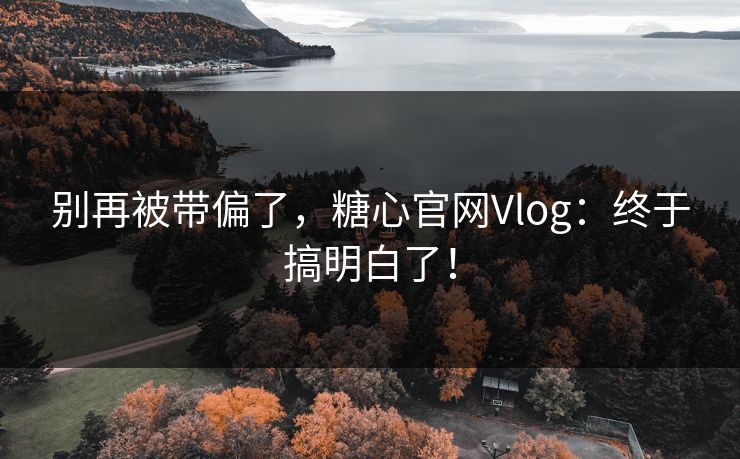 别再被带偏了，糖心官网Vlog：终于搞明白了！