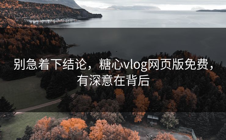别急着下结论，糖心vlog网页版免费，有深意在背后