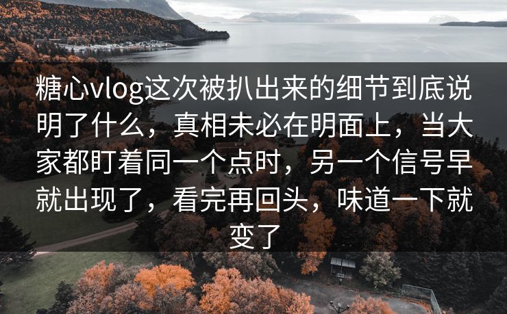 糖心vlog这次被扒出来的细节到底说明了什么,真相未必在明面上,当大家都盯着同一个点时,另一个信号早就出现了,看完再回头,味道一下就变了 第1张 糖心vlog这次被扒出来的细节到底说明了什么,真相未必在明面上,当大家都盯着同一个点时,另一个信号早就出现了,看完再回头,味道一下就变了 第1张