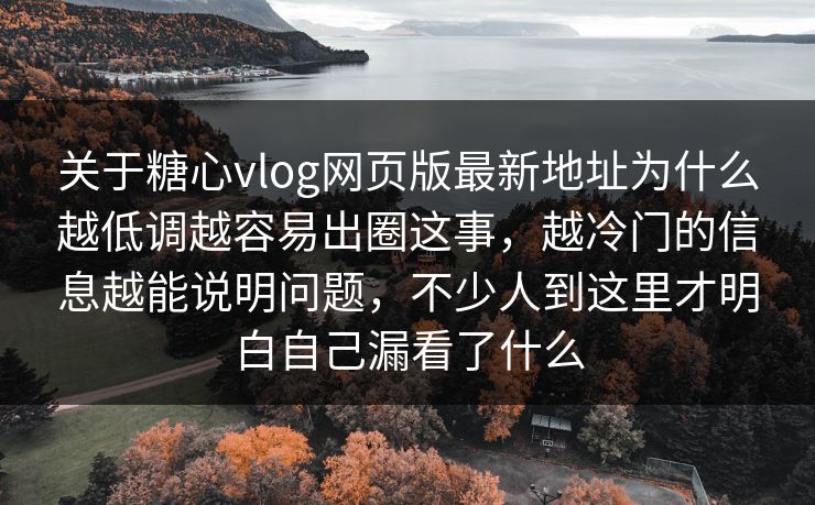 关于糖心vlog网页版最新地址为什么越低调越容易出圈这事，越冷门的信息越能说明问题，不少人到这里才明白自己漏看了什么